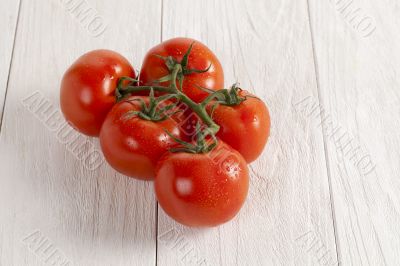 fresh tomatoes