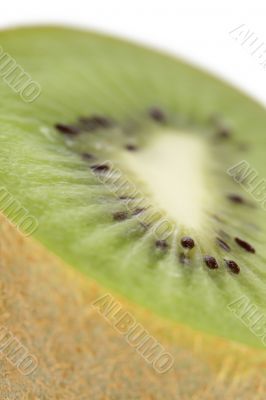 closeup kiwi