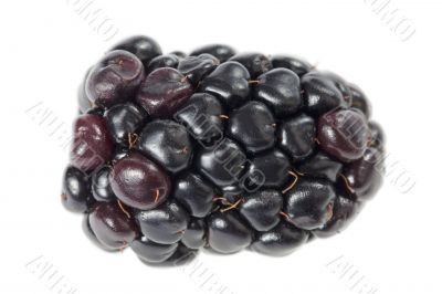 blackberry 