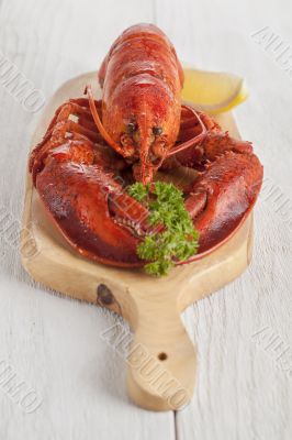 boiled lobster on a wooden board