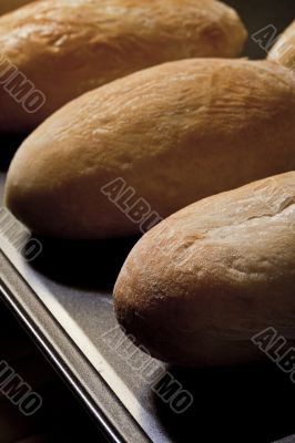 freshly baked buns