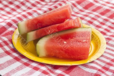 slices of watermelon on a picnic cloth 