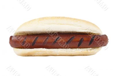 hot dog sandwich