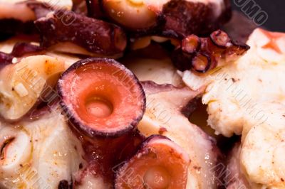 Octopus slices