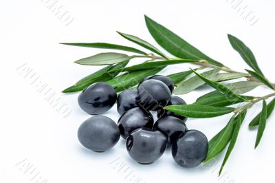 Black olives
