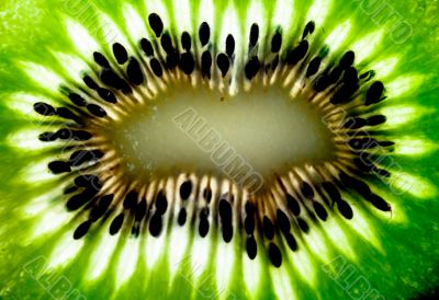 Kiwi fruit