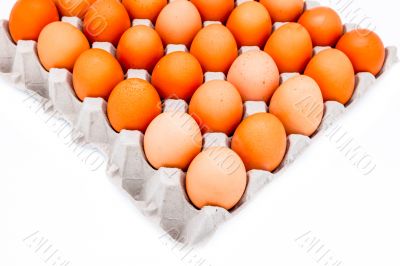 Egg in a carton