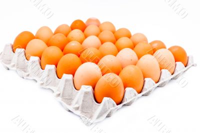 Egg in a carton
