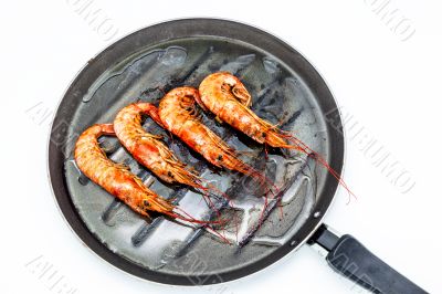 Shrimp grilled