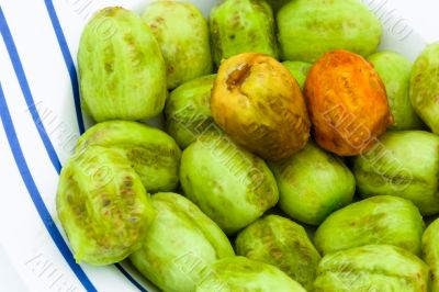 Cactus fruits
