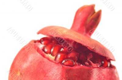 Red pomegranate on a white background