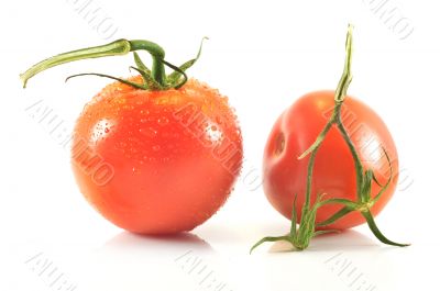 Sprig and tomato on a white background