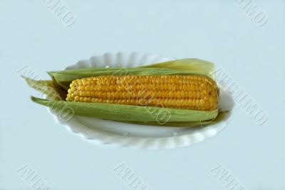 ear of corn