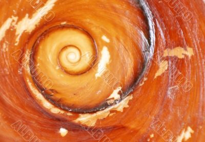 Spiral on the maroon stone