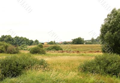 Rural landscape