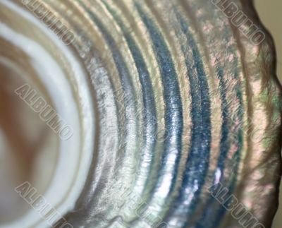 Nacre with pearly bows  