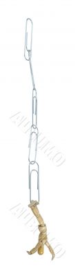Hanging from a Paperclip Chain