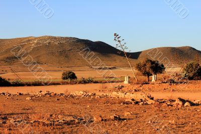 Cabo de Gata Landscape