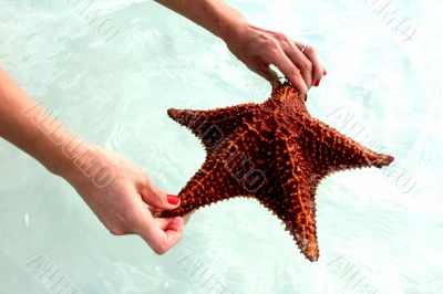 StarFish