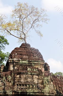 Angkor,Cambodia