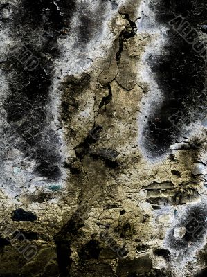 close up image of a textured wall