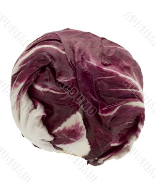 radicchio leaf swirl