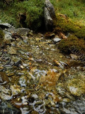 water spring background