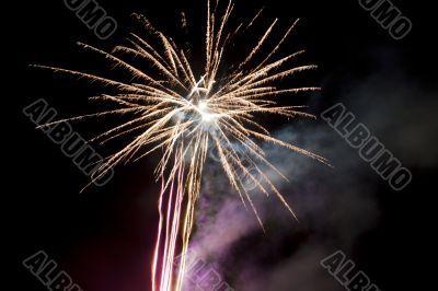 yellow palm firework