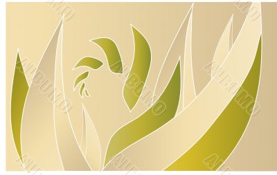 image leaves