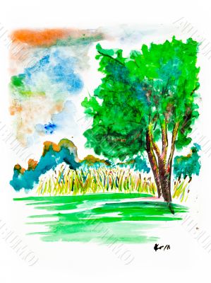 image of a tree