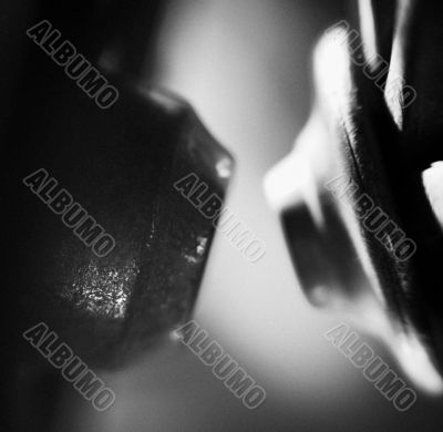 shot of wheel cog