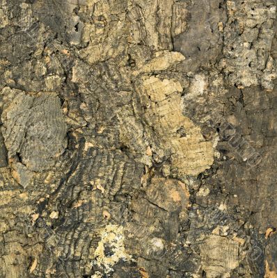 old wooden texture