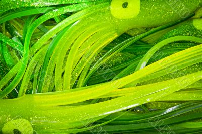 Large Green Squid Fishing Lures