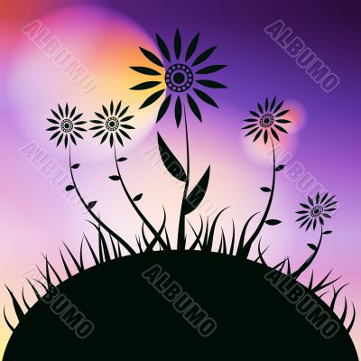 flower background