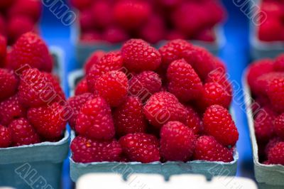 raspberries for sale