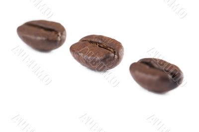three beans arrange on a white background 