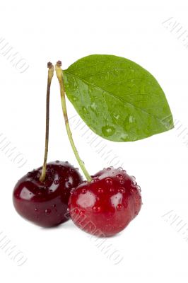 sweet cherries
