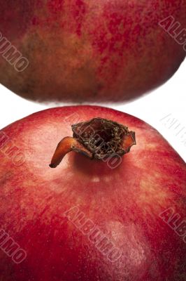 pomegranate fruit