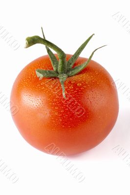 cherry tomato