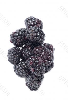 raspberries
