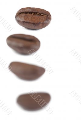 four coffee beans
