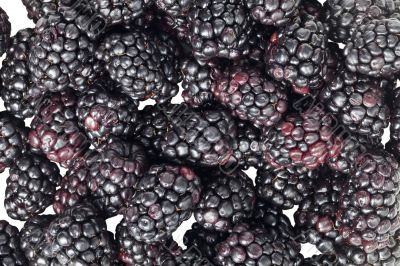 scattered blackberries