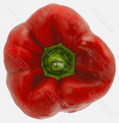 red bell pepper