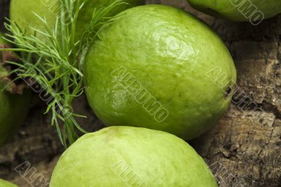 green guava