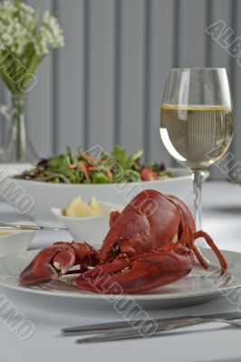stewed lobster