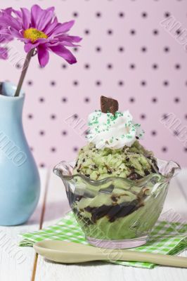 mint ice cream with melted chocolate