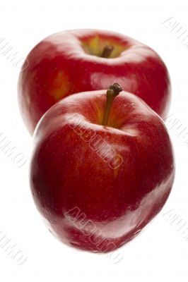 two red apples on white background