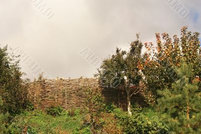Wattle fence