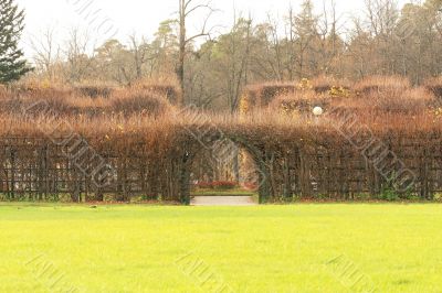 Decorative trellis