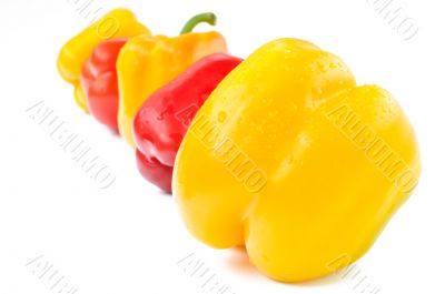 Multi-colored peppers on a white background